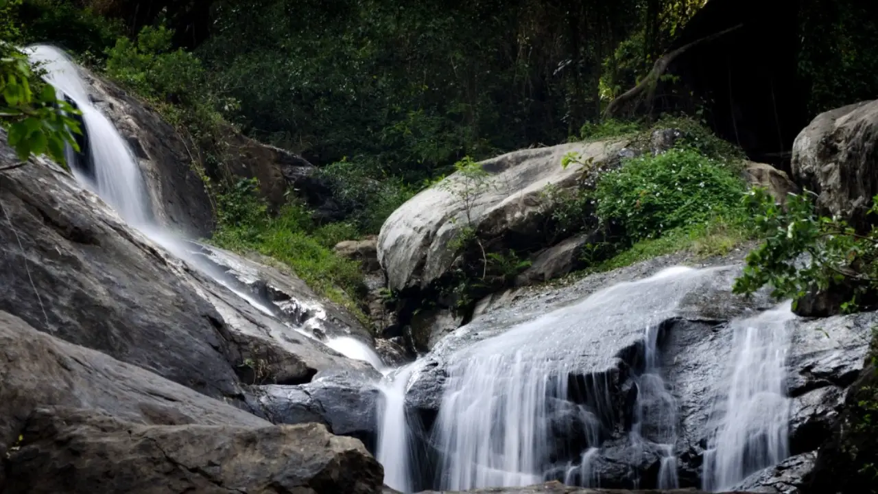 Monkey Falls - A Refreshing Escape