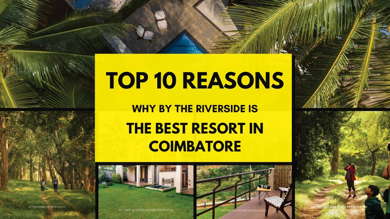 Top 10 Reasons Why By the Riverside is the Best Resort in Coimbatore